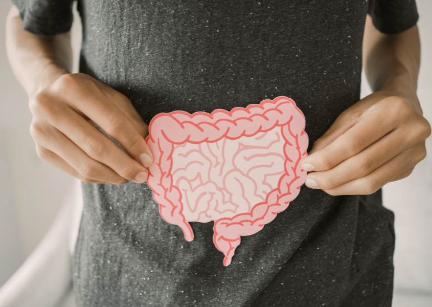 mynutriplan_diet_probiotics-prebiotics